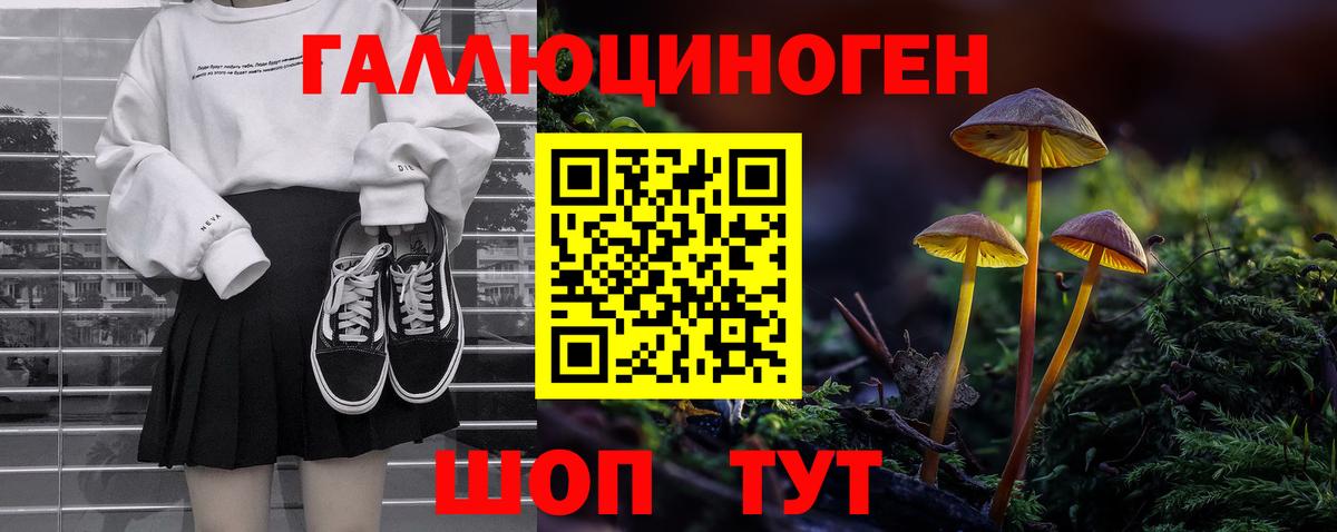 Псилоцибиновые грибы GOLDEN TEACHER Дербент