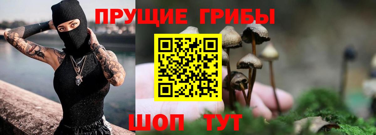Дербент  Галлюциногенные грибы MAGIC MUSHROOMS  Вход с VPN 